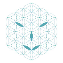 it-Logo 01, Cyan/Red