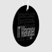 IT Manager Extraordinator Ornament (Vorderseite)