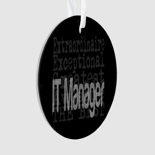 IT Manager Extraordinator Ornament (Vorderseite)