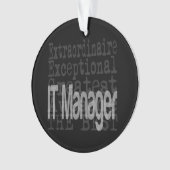 IT Manager Extraordinator Ornament (Vorderseite)