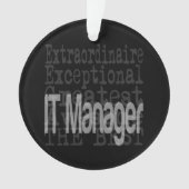 IT Manager Extraordinator Ornament (Vorderseite)