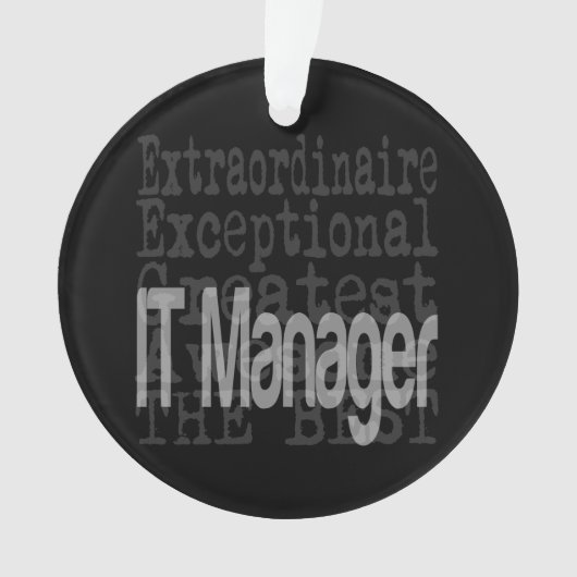 IT Manager Extraordinator Ornament (Vorderseite)