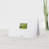 It Was Love At First Sight /Happy Anniversary Karte (Rückseite)