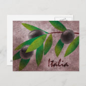 Italia Olives Postkarte (Vorne/Hinten)