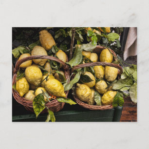 Italian Amalia Lemons in a Basket Postkarte
