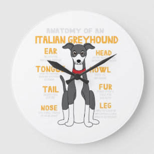 Italian Greyhound Anatomy Funny Dog Mom Dad Gift Große Wanduhr