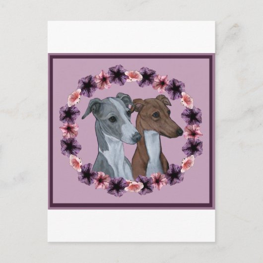 ITALIAN GREYHOUND DUO POSTKARTE (Vorderseite)
