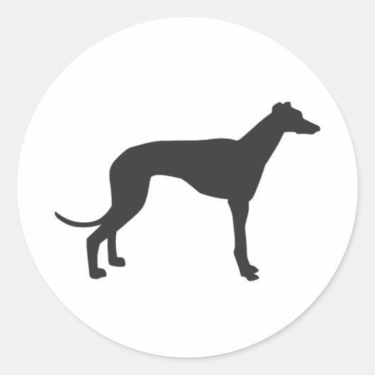 Italian Greyhound silhouette in black Runder Aufkleber (Vorderseite)