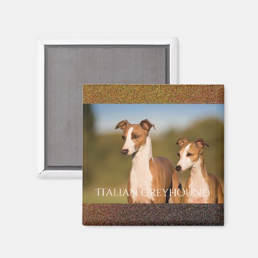 Italian Greyhounds Magnet (Vorderseite/Rückseite)
