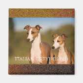 Italian Greyhounds Magnet (Vorne)