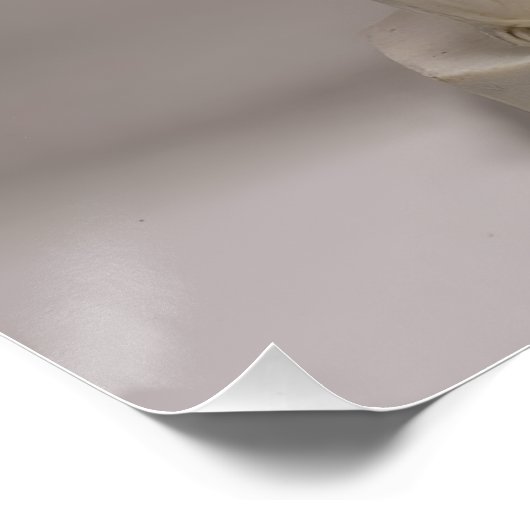 Italian Playing Cards - Ace of Spades Poster (Ecke)