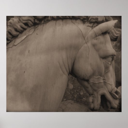 Italian Renaissance Art Horse Poster (Vorne)