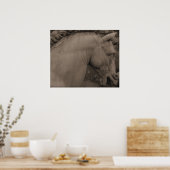 Italian Renaissance Art Horse Poster (Küche)