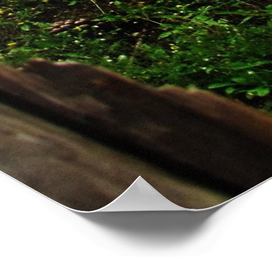 ITALIAN VINEYARD POSTER (Ecke)