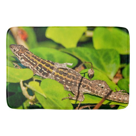 Italian wall lizard badematte (Vorderseite)