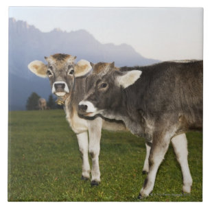 Italien, Alt die Etsch Fliese