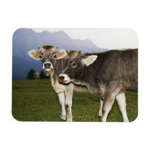 Italien, Alt die Etsch Magnet