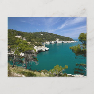 Italien, Apulien, Promontorio del Gargano, Testa Postkarte