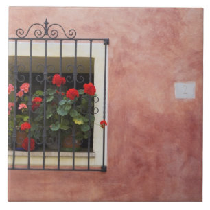 Italien, Asciano, Blumenkästen mit frühlingsfrisch Fliese