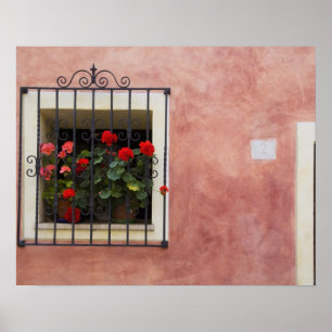 Italien, Asciano, Blumenkästen mit frühlingsfrisch Poster