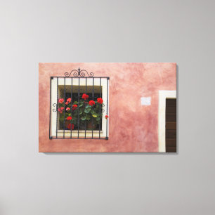 Italien, Asciano, Fensterboxen mit frischem Frühli Leinwanddruck