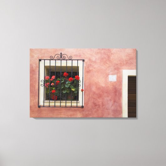 Italien, Asciano, Fensterboxen mit frischem Frühli Leinwanddruck (Vorderseite)