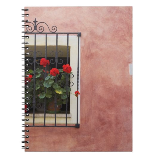 Italien, Asciano, Window Boxes mit frischem Frühli Notizblock (Vorderseite)