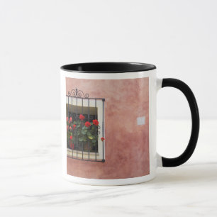 Italien, Asciano, Window Boxes mit frischem Frühli Tasse