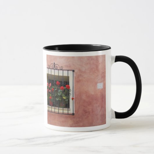 Italien, Asciano, Window Boxes mit frischem Frühli Tasse (Rechts)