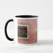 Italien, Asciano, Window Boxes mit frischem Frühli Tasse (Links)