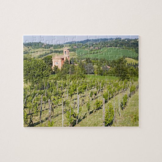 Italien, Bologna, Ansicht durch Weinberg zu Chiesa Puzzle (Horizontal)