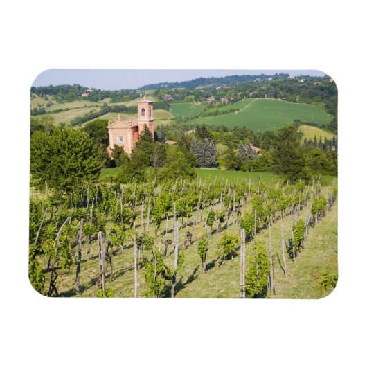 Italien, Bologna, Aussicht durch den Weinberg nach Magnet (Horizontal)