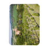 Italien, Bologna, Aussicht durch den Weinberg nach Magnet (Vertikal)