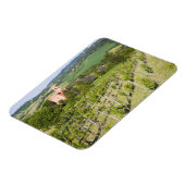 Italien, Bologna, Aussicht durch den Weinberg nach Magnet (Linke Seite)