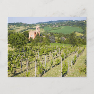 Italien, Bologna, Aussicht durch den Weinberg nach Postkarte