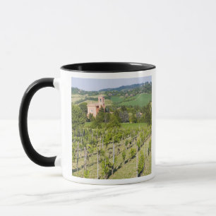 Italien, Bologna, Blick durch den Weinberg auf Chi Tasse