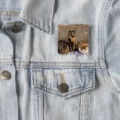 Italien, Cinque Terre, Vernazza. Drei Katzen Button (Beispiel)