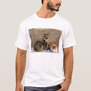 Italien, Cinque Terre, Vernazza. Drei Katzen T-Shirt