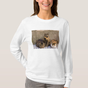 Italien, Cinque Terre, Vernazza. Drei Katzen T-Shirt