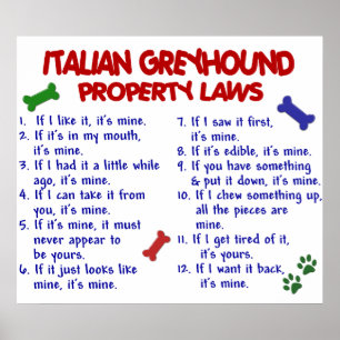 ITALIEN GREYHOUND PL2 POSTER