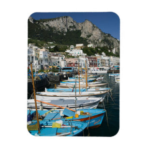 ITALIEN, Kampanien (Bucht von Neapel), CAPRI:Marin Magnet