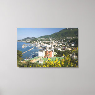 ITALIEN, Kampanien, (Golf von Neapel), ISCHIA, LAC Leinwanddruck