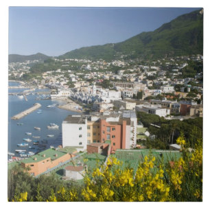 ITALIEN, Kampanien (Neapel-Bucht), ISCHIA, LACCO Fliese