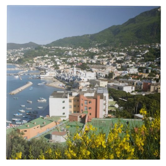 ITALIEN, Kampanien (Neapel-Bucht), ISCHIA, LACCO Fliese (Vorderseite)