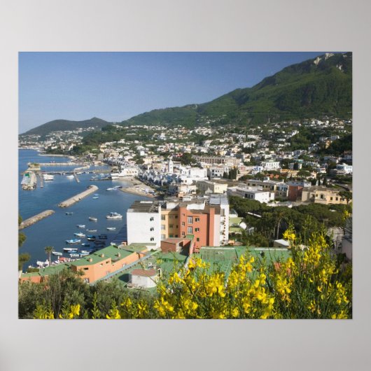 ITALIEN, Kampanien (Neapel-Bucht), ISCHIA, LACCO Poster (Vorne)