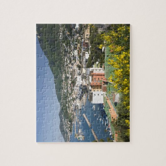 ITALIEN, Kampanien (Neapel-Bucht), ISCHIA, LACCO Puzzle (Vertikal)