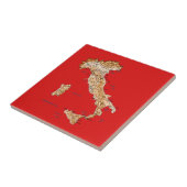 Italien-Karten-Fliese Fliese (Seite)