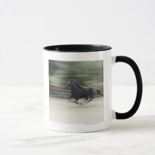 Italien, Latium, Maremma Pferdegaloppieren Tasse