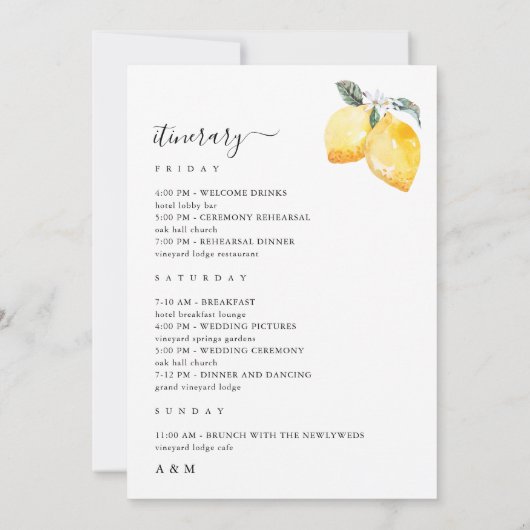 Italien Lemons Wedding Welcome Letter Tour Card Einladung (Rückseite)