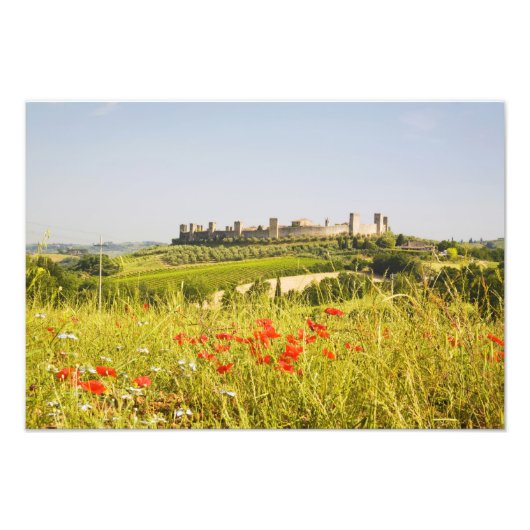 Italien, Monteriggioni, Field View of the Fotodruck (Vorne)